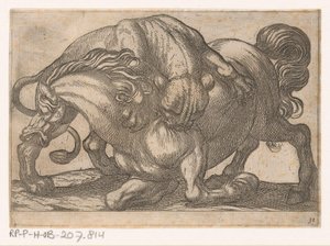 En løvinde angriber en hest Kampdyr (serietitel) af Antonio Tempesta