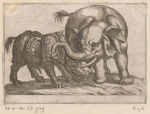 Et næsehorn kæmper mod en elefant Kampdyr (serietitel) af Antonio Tempesta