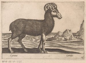 Ædelstene Cerinis / Ceruio (titel på objekt) Dieren en fabelwezens (serietitel) Nova-samling af de mest nysgerrige dyr i verden (serietitel) af Antonio Tempesta