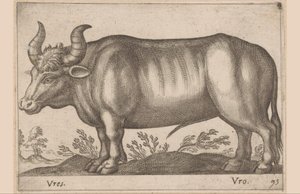 Rund Vres/ Vro (titel på objekt) Dyr og mytiske væsner (serietitel) Nova raccolta de li animali piu curiosi del mondo (serietitel) af Antonio Tempesta