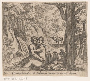 Salmacis og Hermafroditus Hermaphroditus og Salmacius forlader som én krop (titel på objekt) Metamorfoseon eller transformationer (serietitel) Metamorfosen van Ovidius (serietitel) af Antonio Tempesta