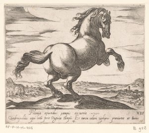 Steigerend paard naar rechts gewend Paarden uit verschiedelden landen (serietitel) Med disse ledere vil du blive fejret som en leder med en viroru-mund. af Antonio Tempesta