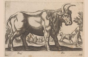 Tyr Vrus/ Vro (titel på objekt) Dieren en fablewezens (serietitel) Ny samling af verdens mest nysgerrige dyr (serietitel) af Antonio Tempesta