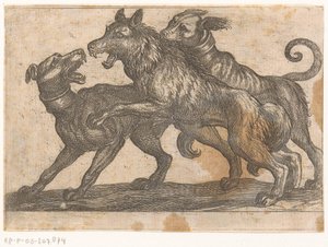To hunde kæmper mod en ulv Kampdyr (serietitel) af Antonio Tempesta