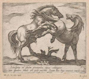 Twee parende paarden Paarden uit verschiedelden landen (serietitel) Med disse ledere vil du blive fejret som en leder med en viroru-mund.