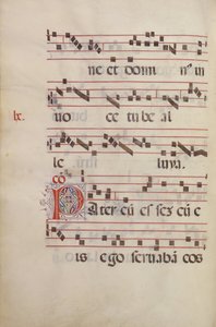 Dekoreret Initial P af Antonio da Monza