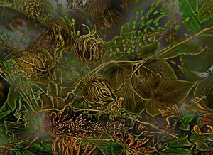  af Antonius Antonius