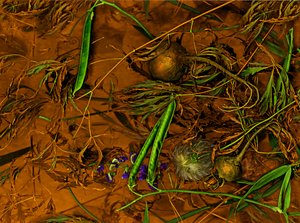 Earthart no.2, 2014 (foto) af Antonius Antonius