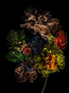  af Antonius Antonius