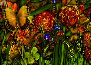  af Antonius Antonius