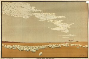 A Flock of Merino Sheep - Australien, fra serien 