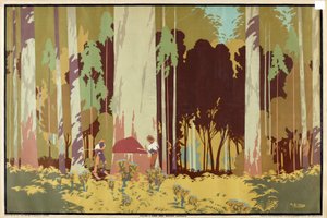 Felling a Karri Tree, Western Australia, fra serien 