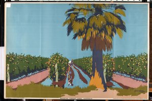 Vanding af ribsvinstokke - Australien (farve litho)