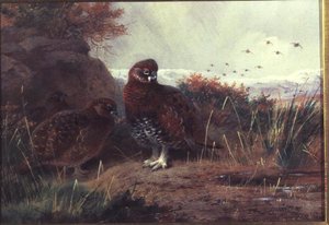Ryper i et vinterlandskab af Archibald Thorburn