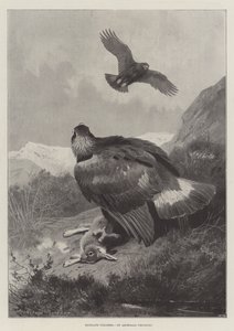 Highland Poachers af Archibald Thorburn