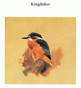 Kingfisher, pub. af Book Club Associates, 1972 af Archibald Thorburn