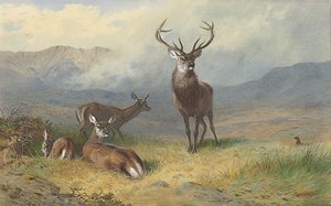 Monarch of the Glen af Archibald Thorburn