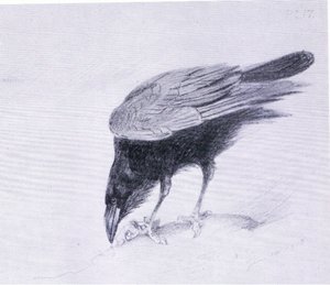 Raven, pub. af Book Club Associates af Archibald Thorburn