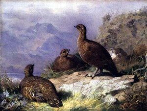 Ryper ved bredden af en sø af Archibald Thorburn