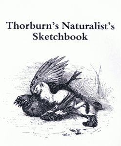 Titelblad (Stoat og Gamebird), pub. af Book Club Associates af Archibald Thorburn