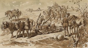Okse-trukne slæde- og pakheste i primitive tider af Armand Jean Heins