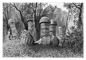 Ruinerne af et Ahom-tempel, Dinajpur, Upper Assam, Indien, 1895.