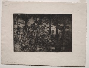 Træer om natten, ca. 1894. af Armand Séguin