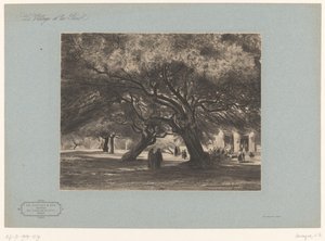 Egetræer ved kirken Cimiez Les Chênes verts de Cimiés, Nice (titel på objekt) Landskaber med landsbyer og skov (serietitel) Le village et les bois (serietitel på objekt) af Armand Theophile Cassagne