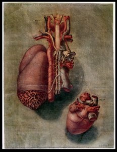 The Heart, plade fra 