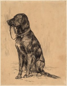 Aldrichs hund af Arthur B. Davies