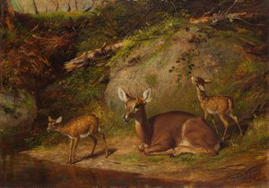 Doe og to fawns, 1882.