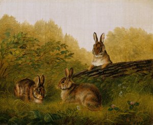 Kaniner på en træstamme, 1897.