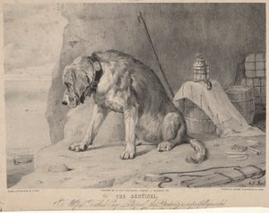 Sentinelen af Arthur Fitzwilliam Tait
