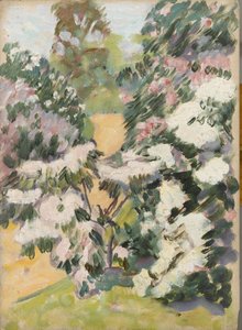Blossom, ca. 1900