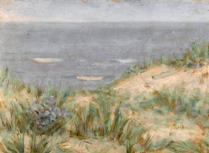 Havudsigt med klitter, blomstrende søgræs, ca. 1900