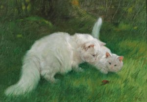 Arthur Heyer Interessant opdagelse i 1923 af Arthur Heyer