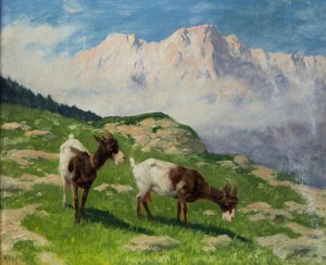 Arthur Heyer-geder i et bjerglandskab