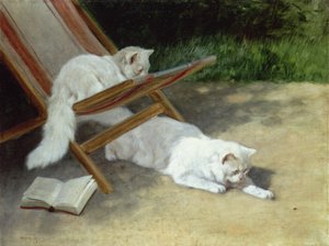 Two White Persian Cats with a Ladybird by a Deckchairdani
