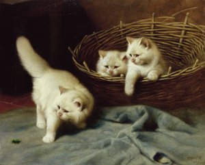 White Angora Kittens With a Beetle, 1929dani
