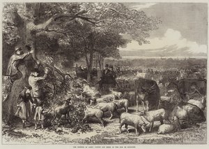 Forsvaret af Paris, kvæg og får i Bois de Boulogne