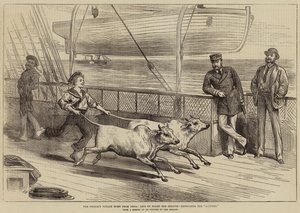 Prinsens rejse hjem fra Indien, livet om bord på Serapis, træning af Gainees
