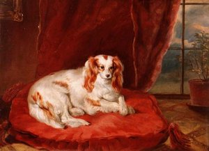 En Cavalier King Charles Spaniel liggende på en rød pude af Arthur J. Stark
