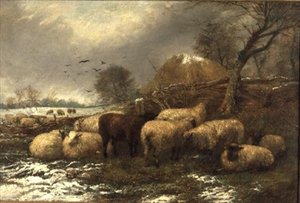 Shelter af Arthur J. Stark