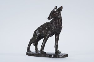 Alert Coyote (bronze)