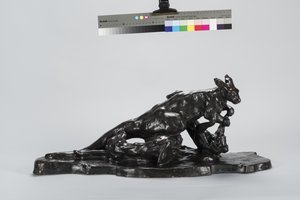 Kænguru og hund