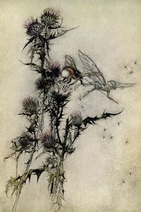 En skærsommernats drøm af Arthur Rackham