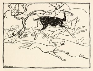 Becfola i sin vogn fra The Wooing of Becfola i Irish Fairy TalesSe beskrivelse af Arthur Rackham
