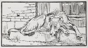 Illustration fra den gamle sultan af en hund. af Arthur Rackham