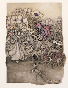 Illustration fra Peter Pan i Kensington Gardens af J.M. Barrie (1860-1937) 1906 (pen & blæk med wc på papir) af Arthur Rackham
