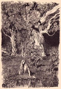 Der sad hun og ville være blevet siddende længe, hvis der ikke havde været et raslen og revne i grenene på det nærmeste træ. Illustration af Arthur Rackham fra Grimm